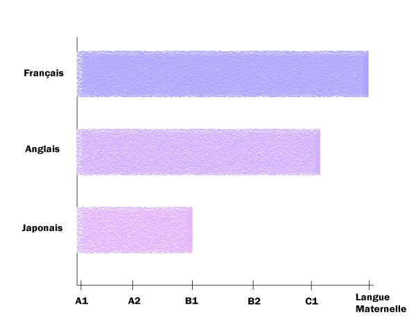 graphique de compétences en langues